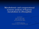 metabolomic and computational systems analysis