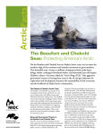 NRDC: The Beaufort and Chukchi Seas: Protecting America`s Arctic