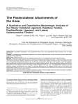 The Posterolateral Attachments of the Knee