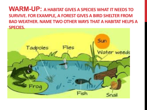 Warm-UP: A habitat gives a species what it needs to survive. For