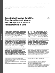 Constitutively Active CaMKKa Stimulates Skeletal Muscle