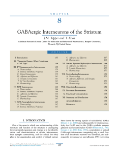 Chapter 8. GABAergic Interneurons of the Striatum