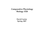 Comparative Physiology Biology 3320