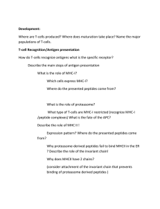 T-cell Recognition/Antigen presentation