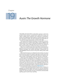 Auxin: The Growth Hormone - Roberto Cezar | Fisiologista Vegetal