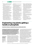 Engineering crop plants: getting a handle on phosphate