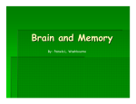 Brain and Memory-1