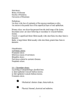 Oral ulcers Mutaz Ali Hassan Faculty of Dentistry University of