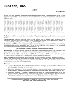 SBT301 - SibTech, Inc.