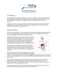 Collagenous Colitis