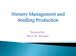 Nursery Management and Seedling Production