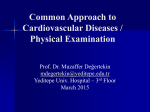 cardiovascular examination