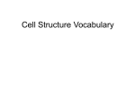 Cell Structure Vocabulary
