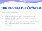 1) What are 3 functions of the respiratory system?
