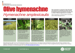 Hymenachne amplexicaulis - Land resource management