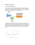 Module 3- Bioenergetics - Bangen Athletic Development