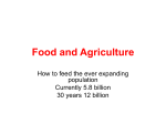 Food and Agriculture