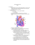 Cardiac Disorders