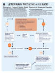 Emergency Protocol: Canine Opioid Exposure or Suspected