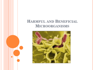 Helpful and Harmful Microorganisms