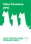 Feline Parvovirus (FPV)