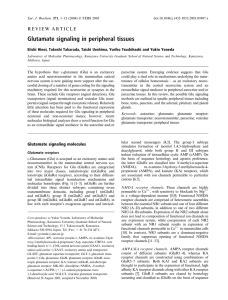 Glutamate signaling in peripheral tissues