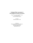 Ecological Risk Assessment of Non