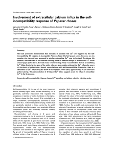 Involvement of extracellular calcium influx in the self