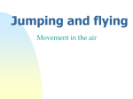 Jumping and flying