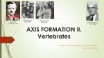Axis formation in Vertebrates I. D