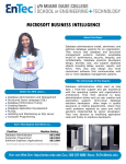 MICROSOFT BUSINESS INTELLIGENCE