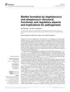 Biofilm formation by staphylococci and streptococci: structural