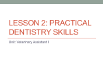 Lesson 2: Practical Dentistry Skills