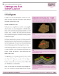 Collecting Data: Article for Students