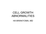 CELL GROWTH ABNORMALITIES