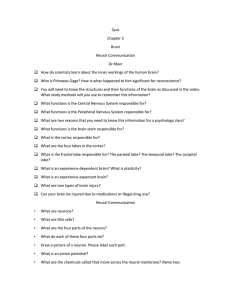 Quiz Chapter 3 Brain Neural Communication Dr Myer How do