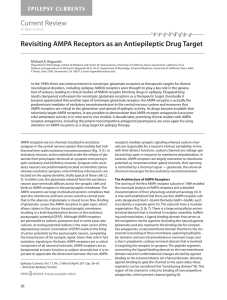 Revisiting AMPA Receptors as an Antiepileptic Drug Target