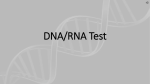 DNA/RNA Test