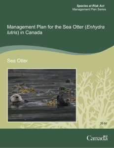Management Plan for the Sea Otter (Enhydra lutris) in Canada Sea