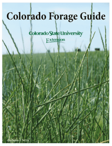 Colorado Forage Guide - Colorado State University Extension
