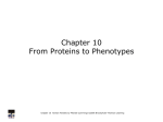 Chapter 1 A Perspective on Human Genetics