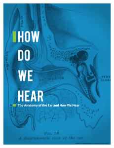 How Do We Hear? – Anatomy of the Ear and How We Hear