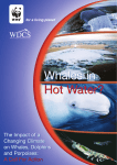 Whales in Hot Water? - Whale and Dolphin Conservation