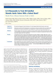 Is It Reasonable to Treat All Calcified Stenotic Aortic Valves