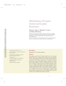 Mechanisms of Leptin Action and Leptin Resistance
