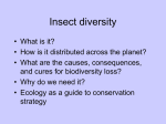 Insect diversity - e