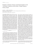 Properties of Primary Sensory (Lemniscal) Synapses in the