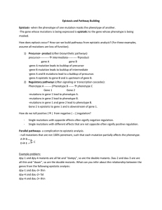 Review-6-Epistasis-and-Pathway