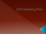 3.03 Marketing Plan