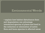 EnviroWeeds